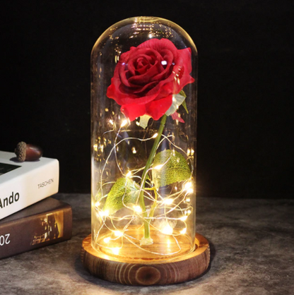 Enchanted Rose